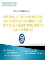 Slide PHÂN TÍCH các yếu tố tác ĐỘNG đến QUYẾT ĐỊNH MUA của KHÁCH HÀNG TRÊN địa bàn THÀNH PHỐ HUẾ đối với mặt HÀNG RAU QUẢ 