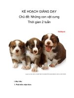 Tài liệu KẾ HOẠCH GIẢNG DẠY - Chủ đề: Những con vật cưng pptx
