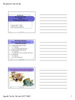 AN TOÀN DỮ LIỆU TRONG THƯƠNG MẠI ĐIỆN TỬ