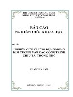 Nghiên cứu và ứng dụng móng kim cương vào các công trình chịu tải trọng nhỏ 