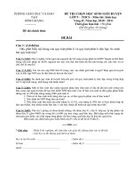 Bài giảng Đề thi HSG năm học 2010 - 2011