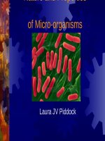 Tài liệu Nature and Properties of Micro-organisms doc
