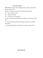 btl dks RFS32 - 3030