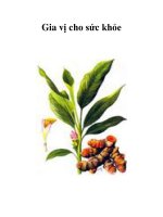 Tài liệu Gia vị cho sức khỏe docx