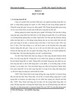 Đánh giá cảm nhận của khách hàng về chất lượng dịch vụ internet MegaVNN của VNPT thừa thiên huế 