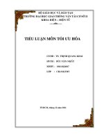 TIỂU LUẬN môn tối ưu hóa 