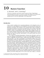 Tài liệu Quantitative aspects of ruminant digestion and metabolism - Phần 8 docx