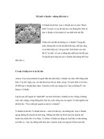 Tài liệu Thế giới vi khuẩn pptx