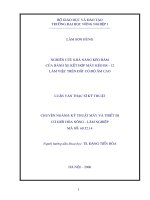 Nghiên cứu khả năng bám kéo của bành xe kết hợp máy kéo BS 12 làm việc trên đất có độ ẩm cao 