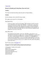 Tài liệu Reading and Writing Binary Data with Oracle pdf