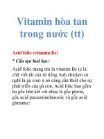 Tài liệu Vitamin hòa tan trong nước (tt) pptx