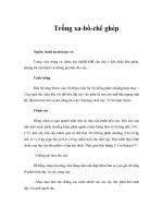 Tài liệu Trồng xa-bô-chê ghép ppt