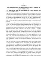 087 giải pháp phát triển các dịch vụ bố sung của công ty TNHH sơn phúc 