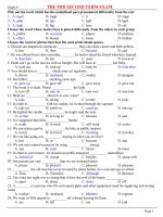 Tài liệu THE MID SECOND TERM EXAM