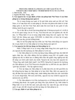 TÍNH TƯƠNG THÍCH của PHÁP LUẬT VIỆT NAM về tự vệ với HÀNG HOÁ NHẬP KHẨU với HIỆP ĐỊNH về tự vệ của WTO 