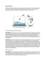 Tài liệu Bí kíp thoát hiểm docx