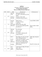 Tài liệu G.A 4 TUẦN 4 (CKTNN-KNS-BVMT)