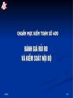  ĐÁNH GIÁ RỦI RO  VÀ KIỂM SOÁT NỘI BỘ