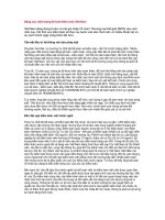 Tài liệu Nâng cao chất lượng kế toán-kiểm toán Việt Nam ppt