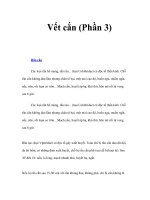 Tài liệu Vết cắn (Phần 3) pptx