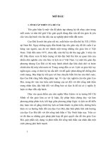 35 luan van bao cao PHƯƠNG HƯỚNG và NHỮNG GIẢI PHÁP CHỦ yếu  