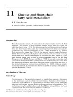 Tài liệu Quantitative aspects of ruminant digestion and metabolism - Phần 9 pptx