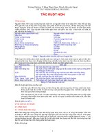 Tài liệu Tắt ruột non docx