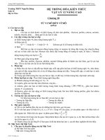 Bài giảng He thong kien thuc chuong 10 NC