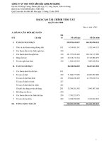 Tài liệu CTy Thủy Sản An Giang - Báo cáo tóm tắt quý 2 năm 2008 docx