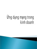 Tài liệu Ứng dụng mạng trong kinh doanh pdf