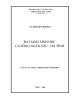 Đa dạng sinh học cá sông ngàn sâu   hà tĩnh 