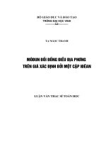Môđun đối đồng điệu địa phương trên giá xác định bởi một cặp iđêan 