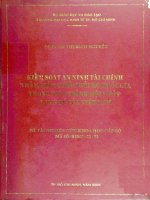 Kiểm soát an ninh tài chính nhằm giảm thiểu rủi ro quốc gia trong tiến trình hội nhập kinh tế của việt nam  đề tài nghiên cứu khoa học cấp bộ 
