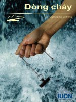 Tài liệu Cẩm nang Dòng Chảy môi trường docx