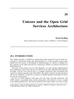 Tài liệu Grid Computing P29 pptx