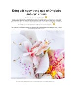 Bài soạn sinh. Quan the thich nghi