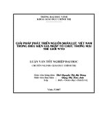 Giải pháp phát triển nguồn nhân lực việt nam trong điều kiện gia nhập tổ chức thương mại thế giới WTO 