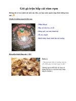 Tài liệu Gỏi gà trộn bắp cải rùm rụm pptx