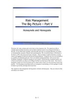 Tài liệu Risk Management The Big Picture – Part V doc