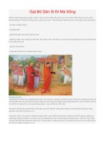 Gạt Bỏ Sân Si Đi Mà Sống