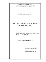 Tài chính trong sát nhập các doanh nghiệp ở việt nam 