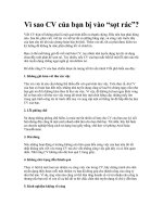 Tài liệu Vì sao CV của bạn bị vào “sọt rác”? pdf