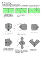 Tài liệu Nghệ thuật xếp hình Nhật Bản: dragon fly pdf