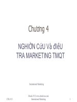 Nghiên cứu và điều tra marketing TMQT