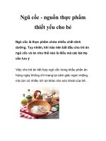 Tài liệu Ngũ cốc - nguồn thực phẩm thiết yếu cho bé docx