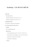 Tài liệu Gíao án toán lớp 1 - CÁC SỐ CÓ 2 CHỮ SỐ doc