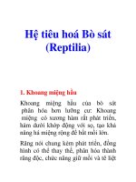Tài liệu Hệ tiêu hoá Bò sát (Reptilia) ppt