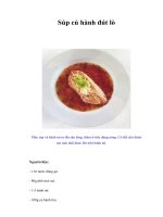 Tài liệu Súp củ hành đút lò docx