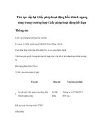 Tài liệu Thủ tục cấp lại Giấy phép hoạt động bến khách ngang sông trong trường hợp Giấy phép hoạt động hết hạn pdf