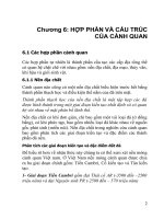 Tài liệu Hợp phân và cấu trúc của cảnh quan doc